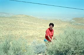 scan0004_exposure