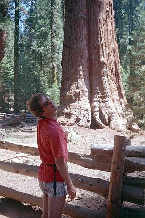 scan0017_exposure