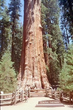 scan0019_exposure