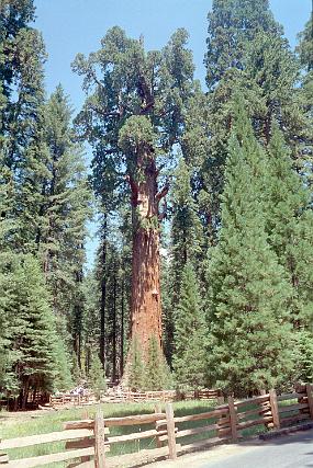 scan0022_exposure