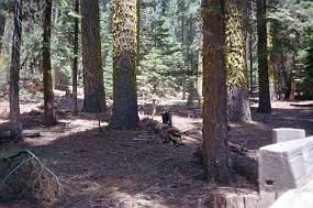 scan0025_exposure