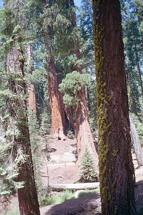 scan0029_exposure