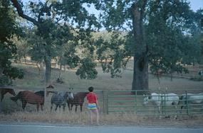 crop0008_filtered