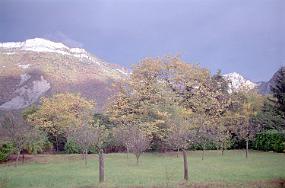 scan0019_b_exposure