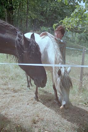 scan0020_f