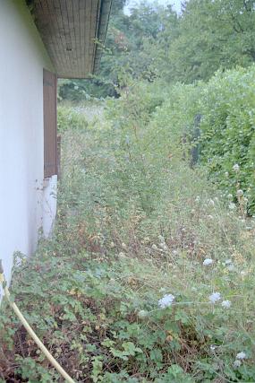 scan0041