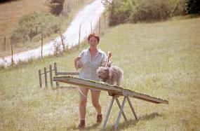 scan0006_b_exposure