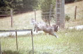 scan0014_b_exposure
