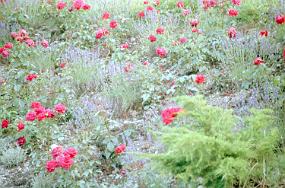 scan0018_b_exposure