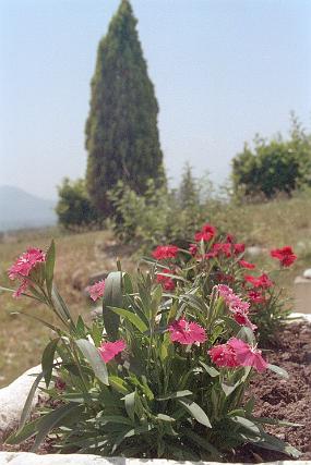 scan0023_b_exposure