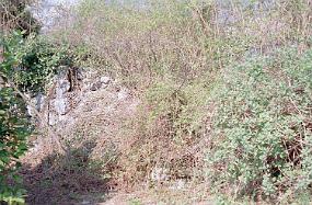 scan0025_b_exposure