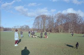 scan0029_b