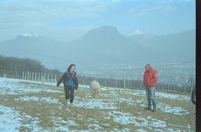scan0018