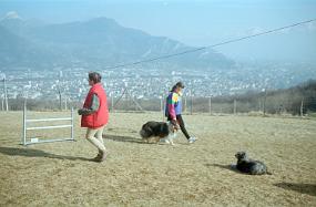 scan0029_ps
