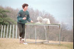 scan0034_b_exposure