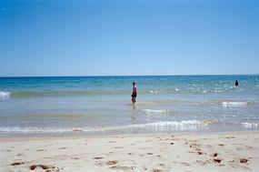 scan0029_b