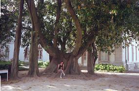 scan0009_b_exposure