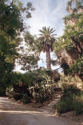 scan0011_b_exposure
