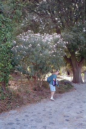 scan0024_b_exposure