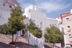 scan0011_b_exposure Portugal III