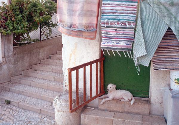 Portugal III (Friday, 01. September 1995) Plus de photos de notre voyage en Portugal.