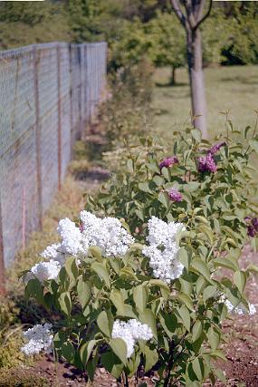 scan0007_b_exposure