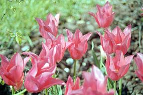scan0016_b_exposure