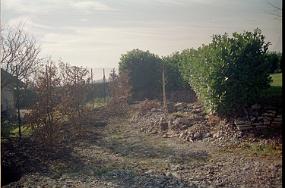 vue0009