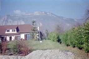 vue0010