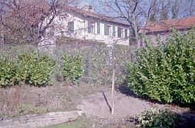 vue0013