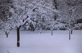 Scan000034