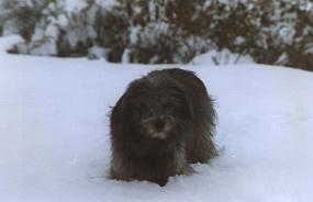 Scan000035