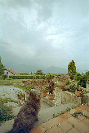 scan0001_b