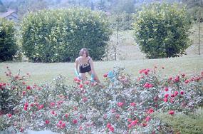 scan0019_b