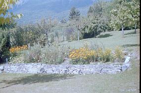 scan0020_b