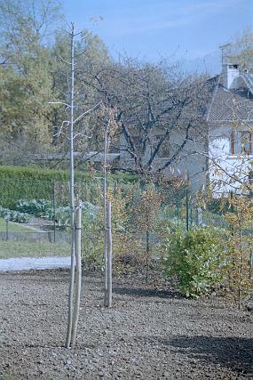 scan0034_b