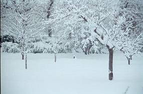 scan0008_b