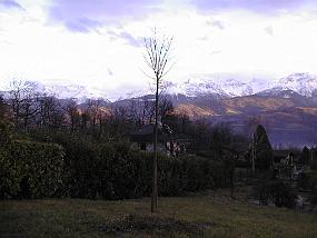 PIC00005