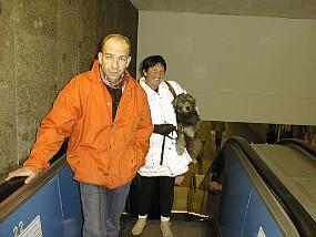 PIC00018