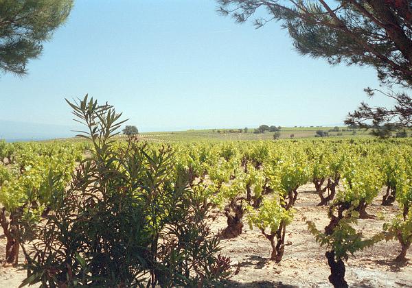 Vacamces dans le sud (Tuesday, 03. June 1997) Des vacances dans les sud de la France.