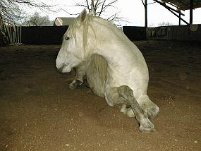 PIC00007.cor