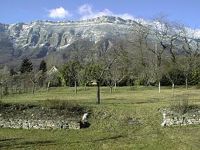 PIC00009