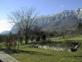 PIC00010