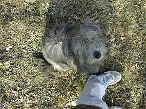 PIC00004