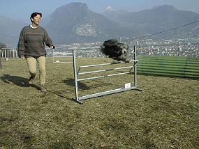 PIC00007