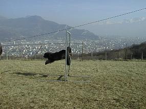 PIC00009