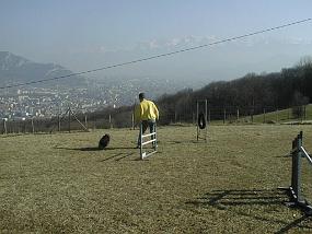 PIC00016