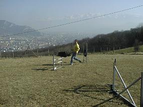 PIC00017