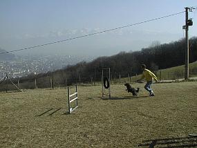 PIC00018