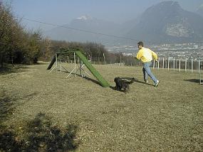 PIC00020